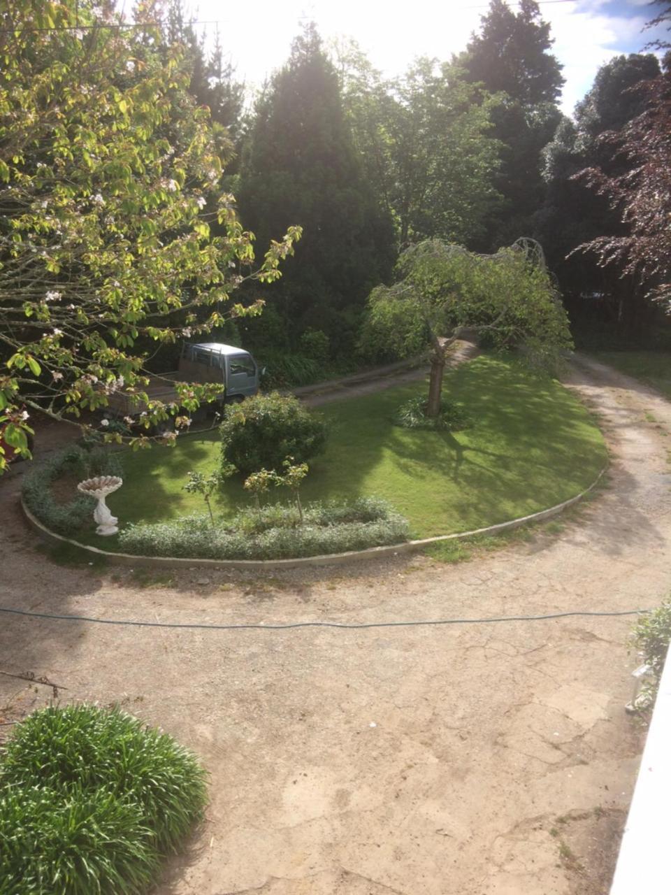 Bed and Breakfast Annandale Manor Levin Zewnętrze zdjęcie